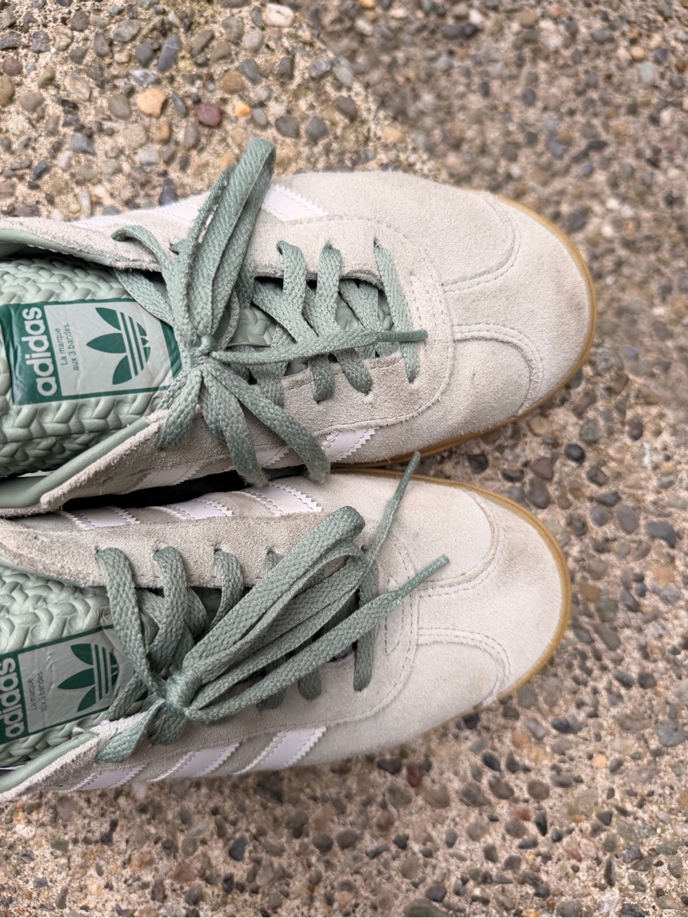 adidas Gazelle Women’s Sneakers - Sage Green & White with Gum Sole - Picture 3 of 7
